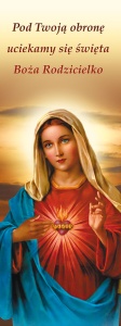 Baner Najświętsze Serce Maryi "Pod Twoją obronę uciekamy się..." 75x200cm