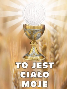 Baner na Pierwszą Komunię Świętą "To jest ciało moje" 75x100 cm