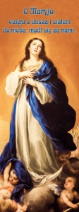 Baner religijny Wniebowzięcie Najświętszej Maryi Panny 75x200cm 