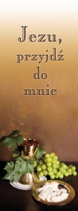 Baner na I Komunię Świętą "Jezu, przyjdź do mnie" 75x200 cm