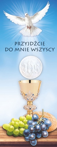 Baner na Boże Ciało, "Przyjdźcie do mnie...." niebieski 100x265cm