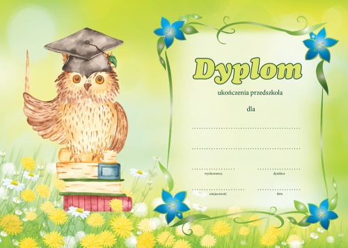Dyplom SOWA