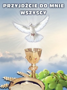 Baner na Boże Ciało, "Przyjdźcie do mnie wszyscy" 75x100 cm