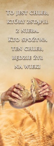 Baner na Boże Ciało "To jest chleb który zstąpił z nieba" 75x200 cm