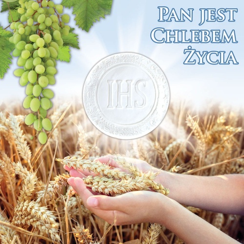 Baner na Boże Ciało, Pan jest chlebem życia 150x150 cm