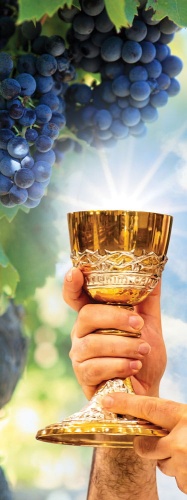 Baner na Boże Ciało, symbole Eucharystii 75x200 cm