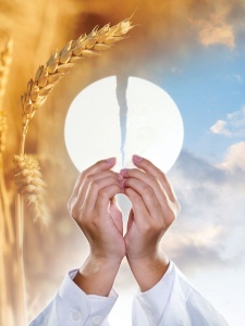 Baner na Boże Ciało, symbole Eucharystii 75x100 cm