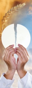 Baner na Boże Ciało, symbole Eucharystii 75x200 cm
