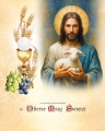 Pamiątka Pierwszej Komunii Świętej - Jezus Chrystus Dobry Pasterz