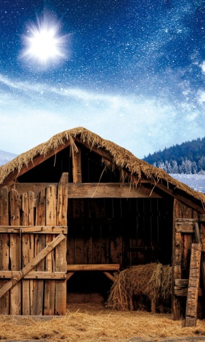 Tło do szopki, stajenka 150x250 cm