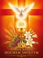 Baner na Boże Ciało "Umocnieni Duchem Świętym" 75x100 cm