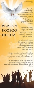 Baner na rok duszpasterski 2019 "W mocy bożego ducha"