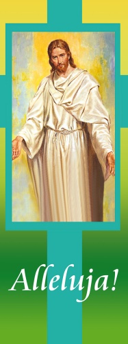 167-75x200.jpg